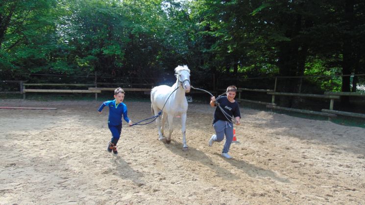 EQUITATION : PONY GAMES